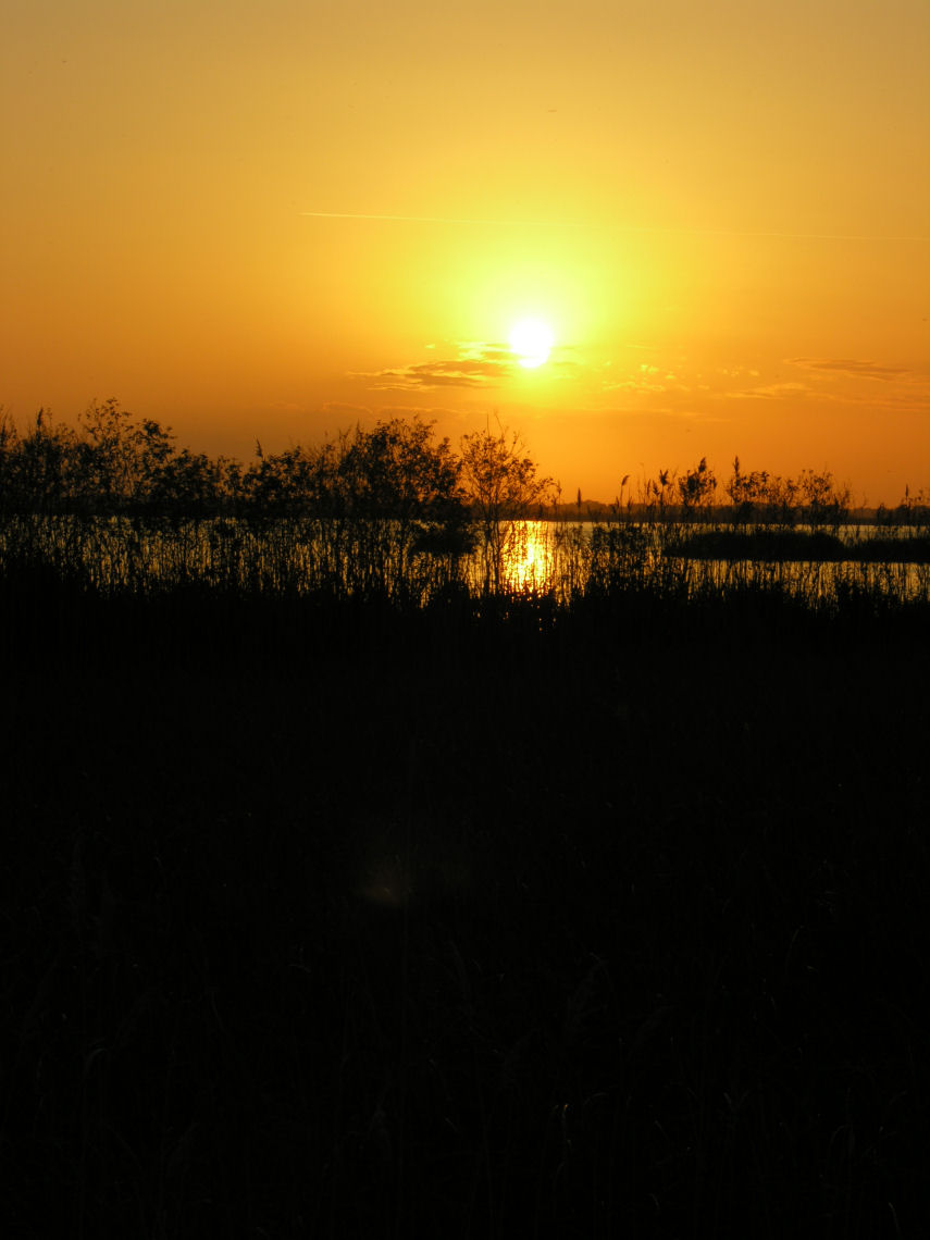 Tramonti sul lago di Massaciuccoli